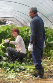 「二人の食卓」